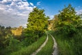 Summer landscape with green grass and countryside road Royalty Free Stock Photo