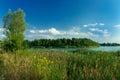 Summer landscape green grass field tree and lake nature outdoor photography scenic view clear weather day time Royalty Free Stock Photo