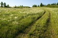 Summer landscape with green grass, roads and clouds. Rural roads. Sunset over a dirt road. Royalty Free Stock Photo