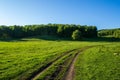 Summer landscape with green grass, roads and clouds. Rural roads. Sunset over a dirt road. Royalty Free Stock Photo