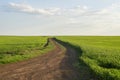 Summer landscape with green grass, roads and clouds. Rural roads. Sunset over a dirt road Royalty Free Stock Photo