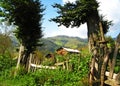 Summer landscape of green highlands in northern Alborz mountains , Mazandaran