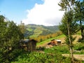 Summer landscape of green highlands in northern Alborz mountains , Mazandaran