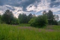 Summer landscape green meadow and forest in the background against the backdrop of a beautiful blue sky and white clouds Royalty Free Stock Photo