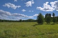 Summer landscape green meadow and forest in the background against the backdrop of a beautiful blue sky and white clouds Royalty Free Stock Photo