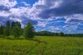 Summer landscape green meadow and forest in the background against the backdrop of a beautiful blue sky and white clouds Royalty Free Stock Photo