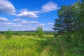 Summer landscape green meadow and forest in the background against the backdrop of a beautiful blue sky and white clouds Royalty Free Stock Photo