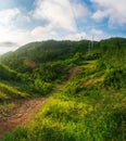 The road among the green hills, which are illuminated by the sun, on which there are power poles