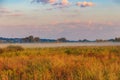 Summer landscape with green misty meadow, trees and sky. Fog on the grassland