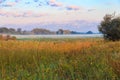 Summer landscape with green misty meadow, trees and sky. Fog on the grassland