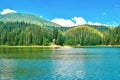 Summer landscape with green pine forest, lake and Carpathians mountain in Ukraine, selective focus Royalty Free Stock Photo