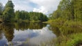 Summer landscape with a green tree forest that surrounds a beautiful lake with a blue sky reflection in it Royalty Free Stock Photo