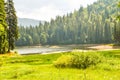 Summer landscape with green valley, pine forest, lake and mountains at distance in in Carpathians, Ukraine Royalty Free Stock Photo
