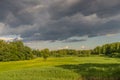 Summer landscape of green woods and river, overgrown with wild grasses. Meadow surrounded by a mixed forest. Royalty Free Stock Photo