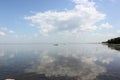 Summer landscape Gulf of Finland near Peterhof