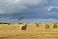 Summer landscape. Harvested wheat field and stormy sky Royalty Free Stock Photo