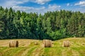 Summer Landscape with Hay Bales on Field Royalty Free Stock Photo