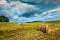 Summer Landscape with Hay Bales on Field Royalty Free Stock Photo