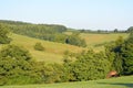 Summer landscape with a horse, North Yorkshire, UK