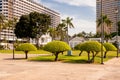 Summer landscape. Hotel Ambassador City Jomtien