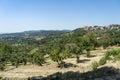 Summer landscape in Irpinia, Southern Italy. Altavilla Irpina