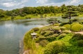 Summer Landscape of Japanese Island in Chicago Botanic Garden, USA Royalty Free Stock Photo