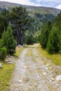 Summer landscape in La Cerdanya, Pyrenees mountain, Catalonia, Spain Royalty Free Stock Photo