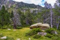 Summer landscape in La Cerdanya, Pyrenees mountain, Catalonia, Spain Royalty Free Stock Photo