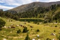 Summer landscape in La Cerdanya, Pyrenees mountain lake, Catalonia, Spain Royalty Free Stock Photo
