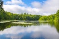 Summer Landscape lake and blue sky. Beautiful wild nature, forest. Lake with mirror reflections Royalty Free Stock Photo
