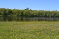 summer landscape with lake and field Royalty Free Stock Photo