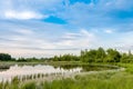 Summer landscape. Lake, forest and blue sky with beautiful clouds. Royalty Free Stock Photo