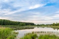 Summer landscape. Lake, forest and blue sky with beautiful clouds. Royalty Free Stock Photo