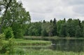 Summer landscape with lake, forest and sky Royalty Free Stock Photo