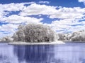 Summer landscape. Lake. Infrared photography. Colored Royalty Free Stock Photo