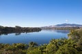 Summer landscape lake