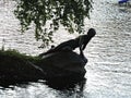 Summer lake with sculpture on the coast in the park, Saint-Petersburg