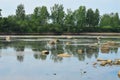 Summer landscape. Large rocks jut out of the water. The water level in the river decreased.