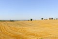 Summer landscape in Lazio (Italy)