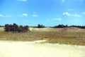 Summer landscape of Letea sand dunes, Danube Delta Royalty Free Stock Photo