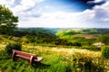 Summer landscape with lonely wooden bench