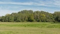 Summer landscape in the marsh in the Flemish countryside.