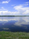 Summer landscape, meadow flowers on the banks of the river, clouds in the sky Royalty Free Stock Photo