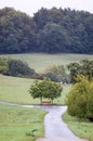 Summer landscape meadow and forest border Royalty Free Stock Photo