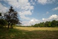 Summer landscape meadow and forest border Royalty Free Stock Photo