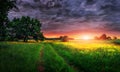 Summer landscape of meadow at vivid sunrise with cloudy sky