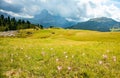 Summer landscape of mount Langkofel, South Tirol, Dolomites mountains, Italy Royalty Free Stock Photo