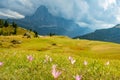 Summer landscape of mount Langkofel, South Tirol, Dolomites mountains, Italy Royalty Free Stock Photo