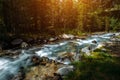 Summer landscape of mountain river among green trees. Sunlit river in the mountain forest. Picture of beautiful nature Royalty Free Stock Photo