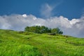 Summer landscape mountain slope with beautiful grass against the blue sky and cumulus white clouds Royalty Free Stock Photo